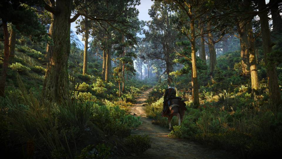 Bosque The Witcher